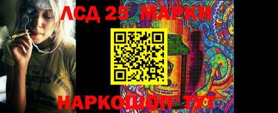 прущие грибы Сланцы