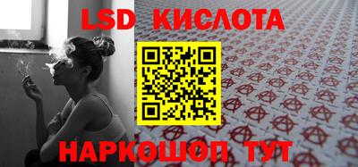 прущие грибы Сланцы