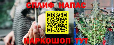 твердый Славгород