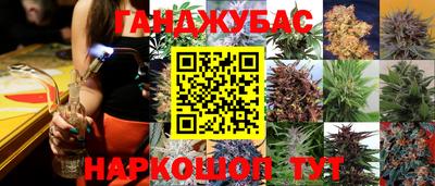 прущие грибы Сланцы
